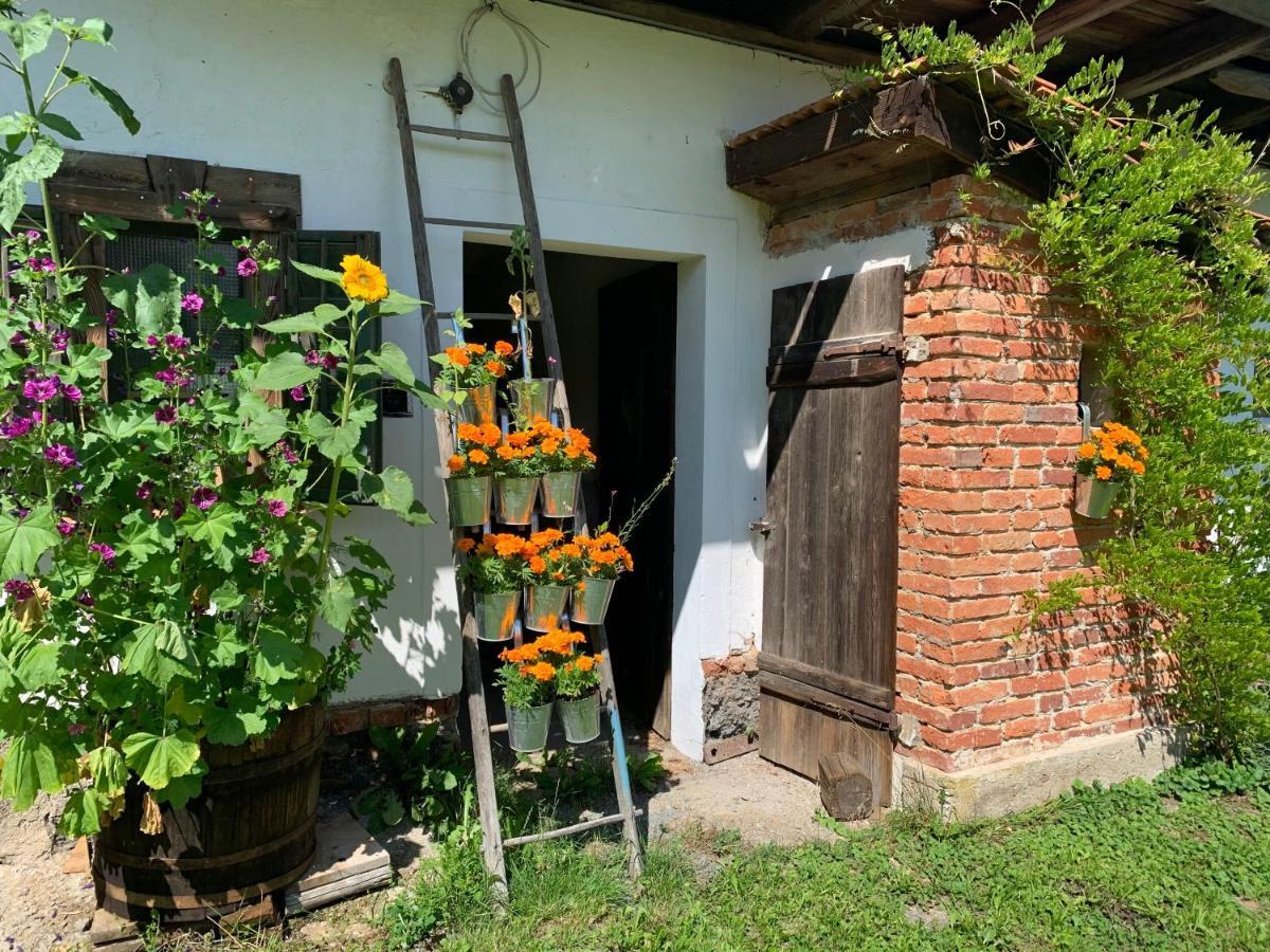 Sulb Kellerstoeckl Am Veganen Bio-Lebenshof "Varm - Die Vegane Farm" מראה חיצוני תמונה