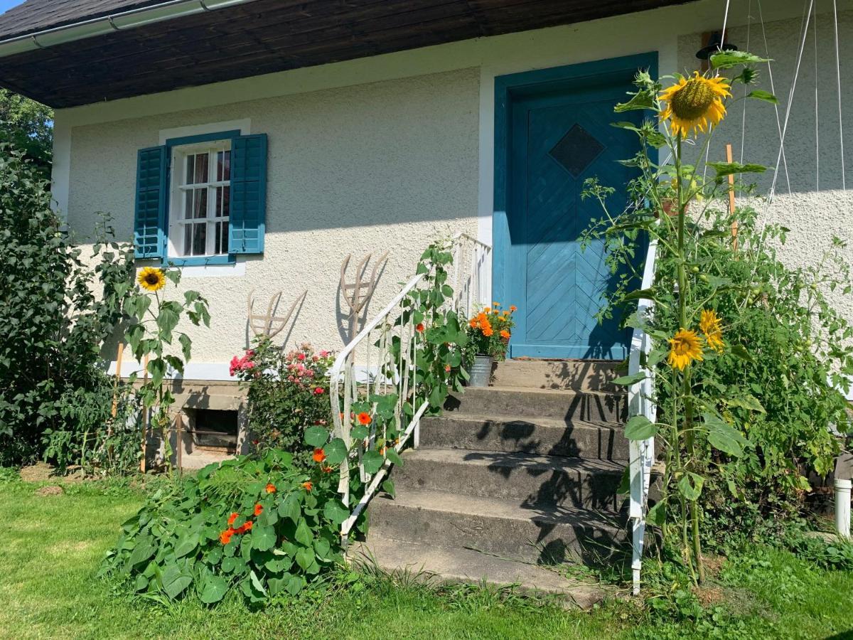 Sulb Kellerstoeckl Am Veganen Bio-Lebenshof "Varm - Die Vegane Farm" מראה חיצוני תמונה