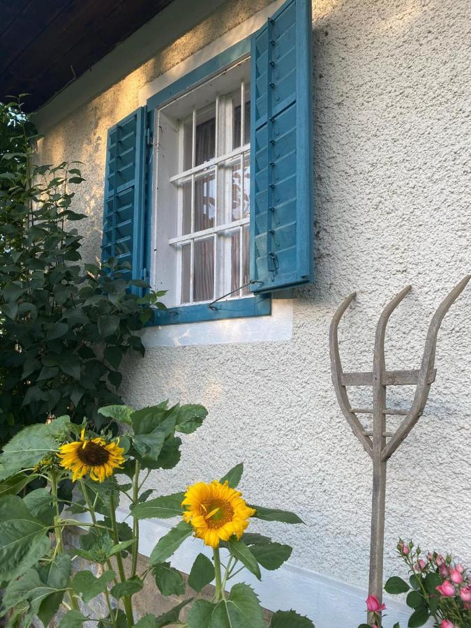 Sulb Kellerstoeckl Am Veganen Bio-Lebenshof "Varm - Die Vegane Farm" מראה חיצוני תמונה