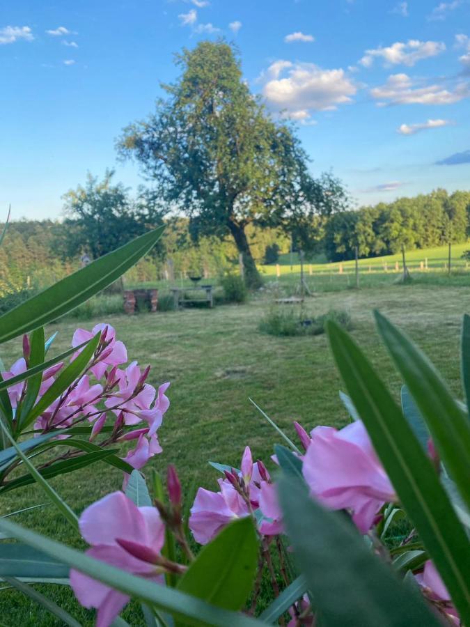 Sulb Kellerstoeckl Am Veganen Bio-Lebenshof "Varm - Die Vegane Farm" מראה חיצוני תמונה